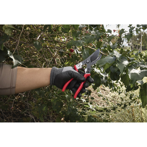 1” Angled Pruning Shears Kelford