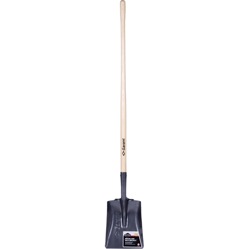 Pro Square Point Shovel, Wood, Tempered Steel Blade, Straight Handle, 48" Long Kelford