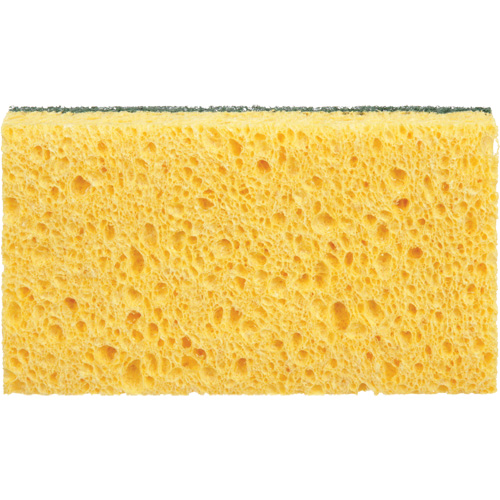 &eacute;ponges utilitaires, Cellulose, 6" la x 3-1/2" l Kelford