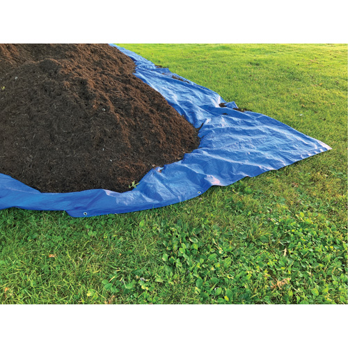 Tarp, Standard Duty, Blue, 7' x 5' x 4 mils Kelford