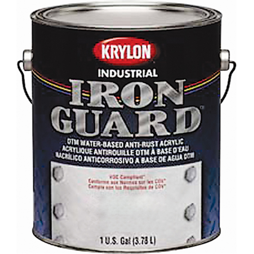 &eacute;mail industriel &agrave; base d'eau Iron Guard, Canette, Gris Kelford