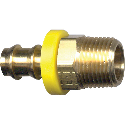 Grip-Tite Male Pipe Hose Fitting, 1/4" x 1/4" Dia, Brass Kelford