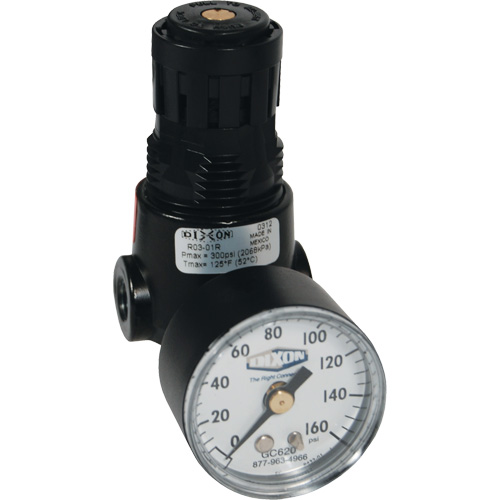 Wilkerson Miniature Regulator R04, 1/4" NPT, 300 psi Max. PSI, Standard Kelford