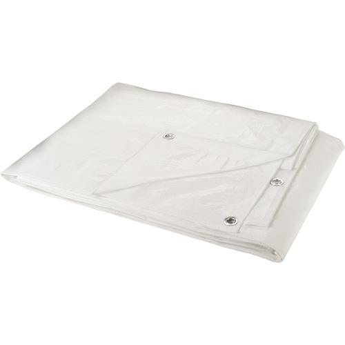 B&acirc;che, Robuste, Blanc, 40' x 30' x 6 mils Kelford