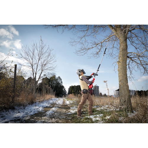 Accessoire de scie &agrave; chaîne &agrave; long manche M18 Fuel Quik-Lok 10" Kelford