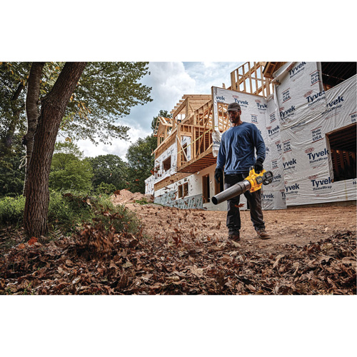 Max* FlexVolt&reg; Brushless Cordless Handheld Axial Blower, 60 V, 125 MPH Output, Battery Powered Kelford