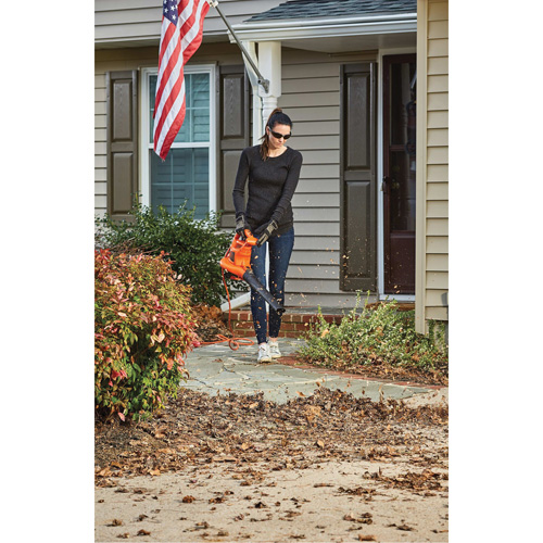 3-in-1 VacPack Leaf Blower/Vacuum/Mulcher, 250 MPH Output, Electric Kelford