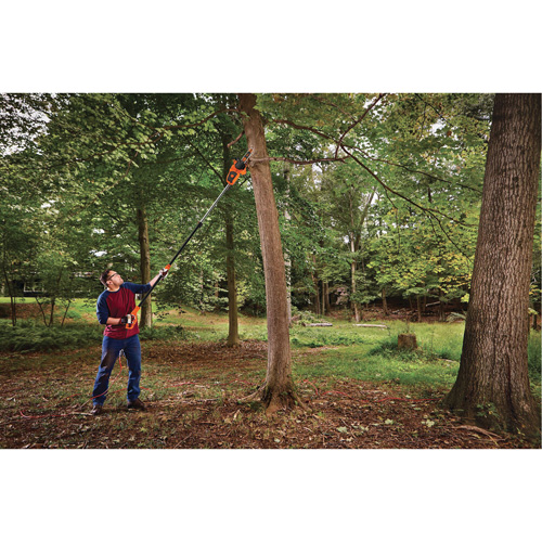 2-in-1 Pole Chainsaw Kelford