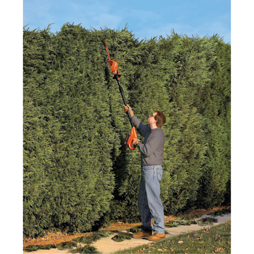 Max* Cordless Pole Hedge Trimmer Kit Kelford
