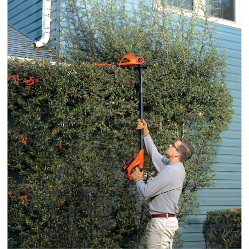 Max* Cordless Pole Hedge Trimmer Kit Kelford