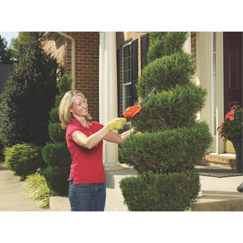 Cisailles de jardin/cisailles &agrave; haie 2-en-1, &agrave; pile, 3,6 V, Largeur de la coupe 4"/6" Kelford