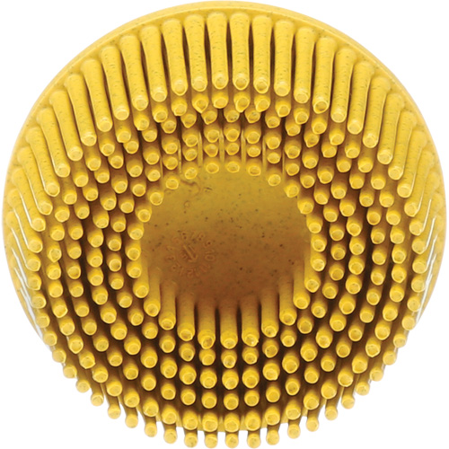 Scotch-Brite Roloc Bristle Disc, Ceramic, Medium Grit, 2" Dia. Kelford