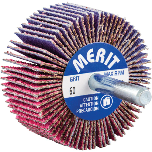 Shank Mounted Mini Flap Wheel, Ceramic Alumina, 60 Grit, 2" x 1" x 1/4" Kelford