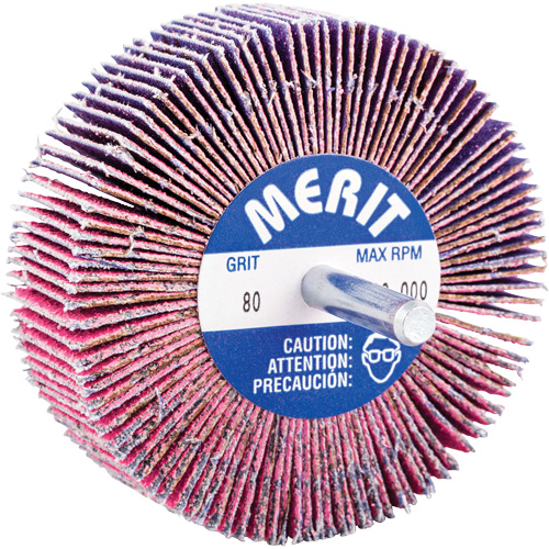 Mini-meule &agrave; lamelles mont&eacute;e sur tige, C&eacute;ramique d'alumine, Grain 80, 3" x 1" x 1/4" Kelford