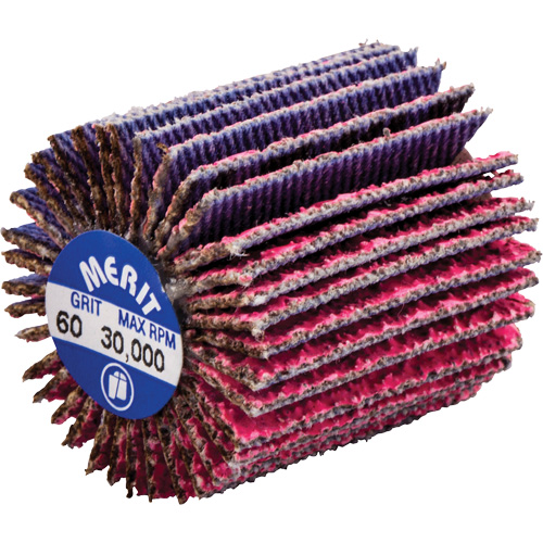 Threaded Mini Flap Wheel, Ceramic Alumina, 60 Grit, 1" x 1" x 1/4"-20 Kelford