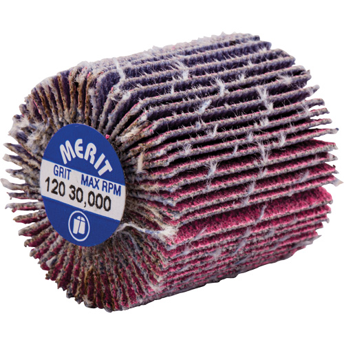 Mini-meule &agrave; lamelles filet&eacute;es, C&eacute;ramique d'alumine, Grain 120, 1" x 1" x 1/4"-20 Kelford