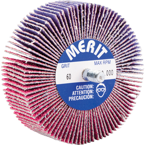 Mini-meule &agrave; lamelles filet&eacute;es, C&eacute;ramique d'alumine, Grain 60, 3" x 1" x 1/4"-20 Kelford