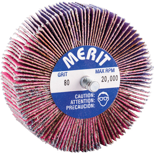 Mini-meule &agrave; lamelles filet&eacute;es, C&eacute;ramique d'alumine, Grain 80, 3" x 1" x 1/4"-20 Kelford