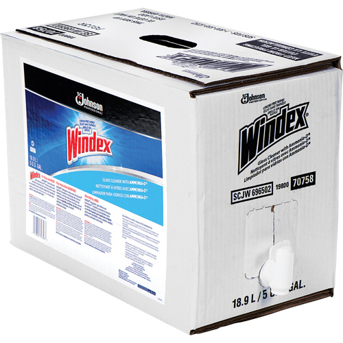 Nettoyant pour vitres Windex avec Ammoniac-D, 5 gal., Sac Kelford