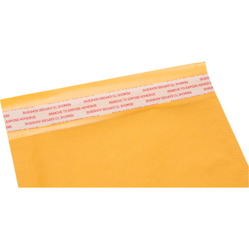 Enveloppes postales coussin&eacute;es, Kraft, 6" la x 10" lo Kelford