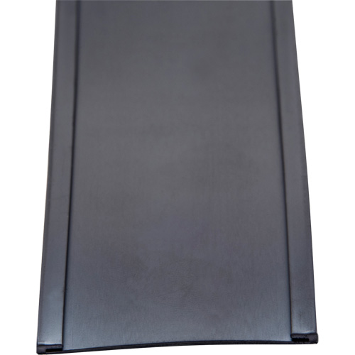 Card Holder, Magnetic, 600" L x 2" W Kelford