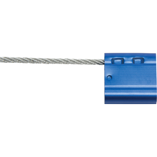 Scell&eacute;s de haute s&eacute;curit&eacute;, 12", M&eacute;tal, Scell&eacute; &agrave; c&acirc;ble Kelford