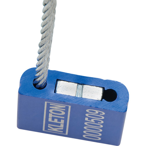 Scell&eacute;s de haute s&eacute;curit&eacute;, 12", M&eacute;tal, Scell&eacute; &agrave; c&acirc;ble Kelford