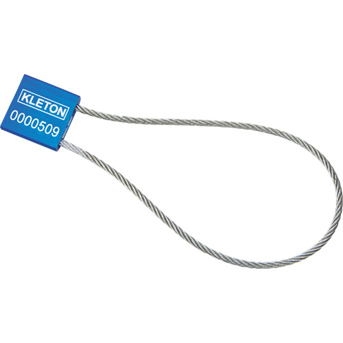 Scell&eacute;s de haute s&eacute;curit&eacute;, 12", M&eacute;tal, Scell&eacute; &agrave; c&acirc;ble Kelford