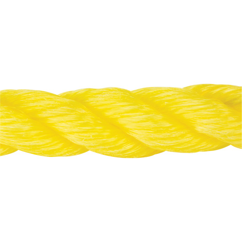 Corde jaune tress&eacute;e, Polypropyl&egrave;ne, 300' Kelford