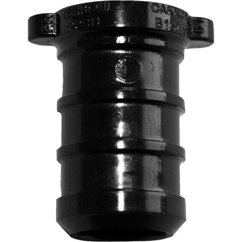 Pipe Plug, Pipe, 1" Dia., Polyalloy Kelford