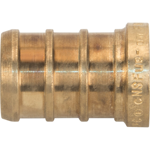 Lead-Free Pipe Plug, Pipe, 1/2" Dia., Brass Kelford