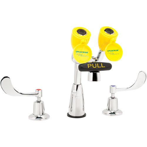 Faucet & Eyewash Station, Sink Mount Installation Kelford