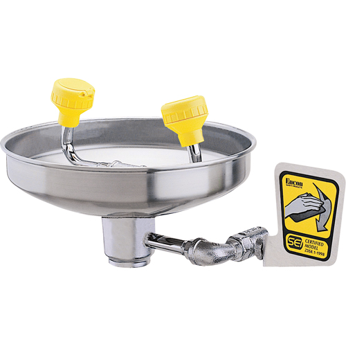 Eyewash With Acetal Heads, Wall-Mount Installation, Stainless Steel Bowl Kelford