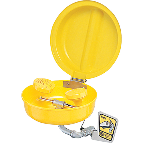 Eye/Face wash With Cover, Wall-Mount Installation, Plastic Bowl Kelford