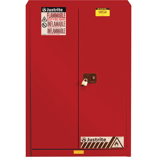 Armoire de s&eacute;curit&eacute; pour la peinture et les encres combustibles EX Sure-Grip, 60 gal., 5 tablettes Kelford