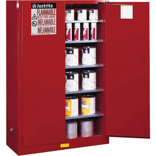 Armoire de s&eacute;curit&eacute; pour la peinture et les encres combustibles EX Sure-Grip, 60 gal., 5 tablettes Kelford