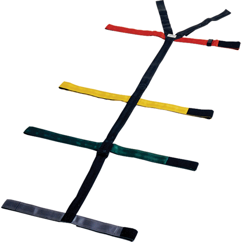 Quick Restraint System Kelford