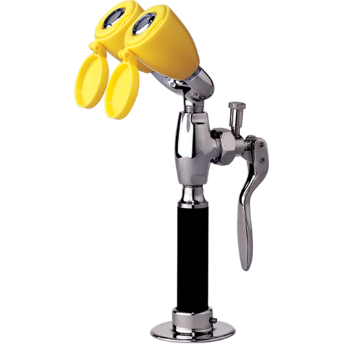 Drench Hose & Eyewash, Counter-Mount Installation Kelford