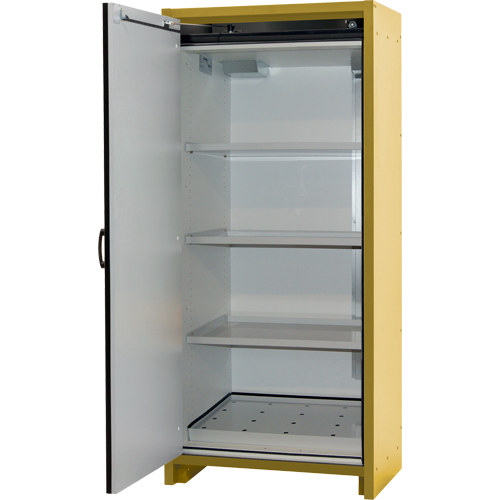 Armoire d'entreposage 30 minutes s&eacute;curitaire et conforme &agrave; la norme EN, 30 gal., 1 Porte(s), 34,02" La x 76,65" h x 24,21" p Kelford