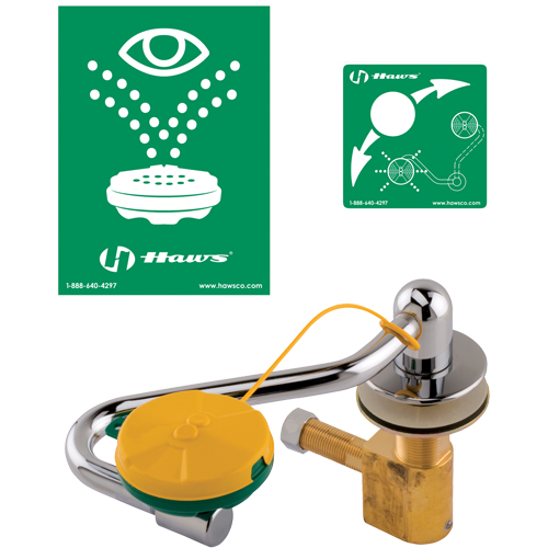 Eye/Face Wash Station, Sink Mount Installation Kelford