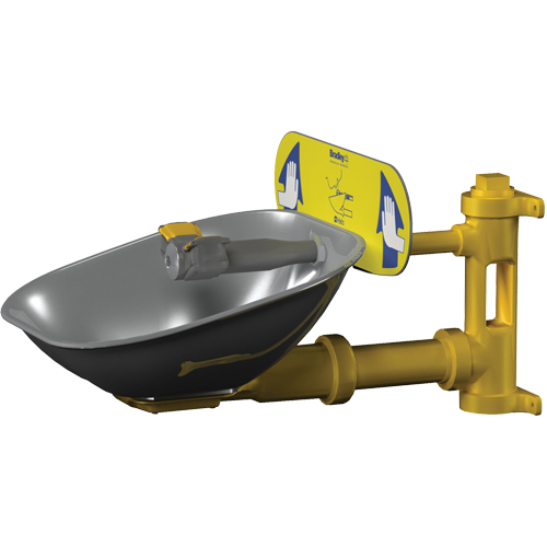Halo Eyewash Stations, Wall-Mount Installation, Stainless Steel Bowl Kelford
