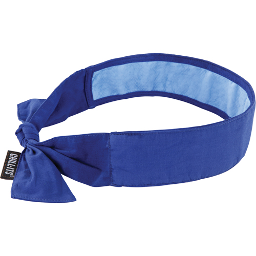 Chill-Its&reg; 6700CT Cooling Bandanas, Blue Kelford