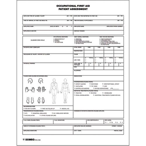 Patient Assessment Chart Kelford