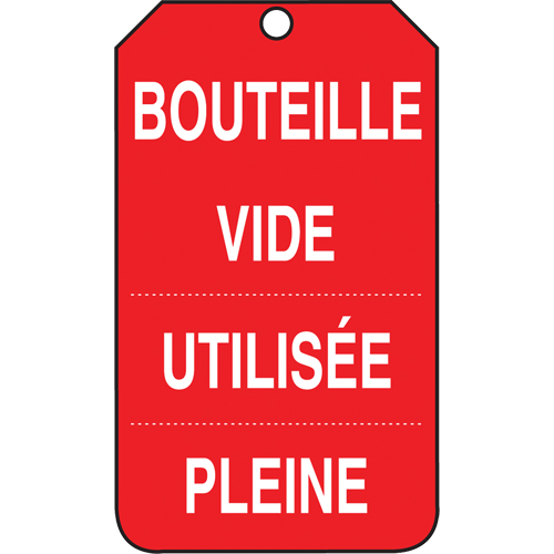 &eacute;tiquettes de s&eacute;curit&eacute; d'inspection et de contr&ocirc;le de l'&eacute;tat de l'&eacute;quipement, Papier cartonn&eacute;, 3-3/8" la x 5-7/8" h, Français Kelford