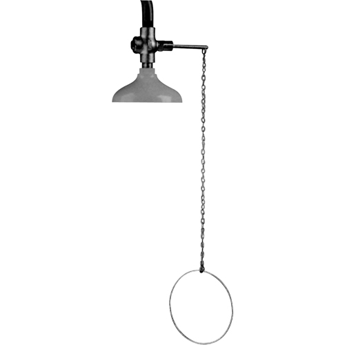 Lifesaver&reg; Emergency Overhead Showers, Ceiling-Mount Kelford
