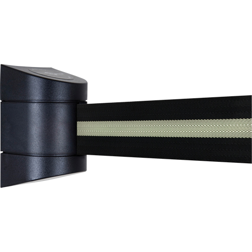 TensaBarrier&reg; Wall Mounted Units, Plastic, Screw Mount, 15', Black Tape Kelford