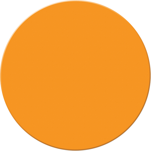 Marqueurs all&eacute;g&eacute;e/5S Armor Stripe, Cercle, 6" lo x 6" la, Orange, Plastique Kelford