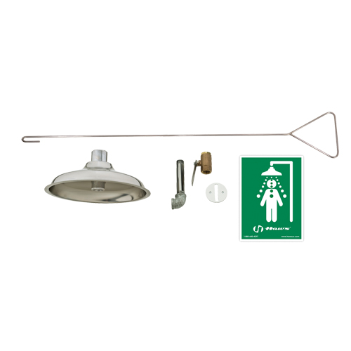 Concealed Drench Shower, Ceiling-Mount Kelford