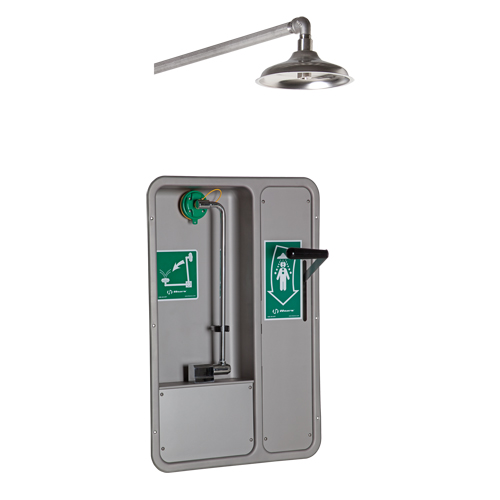 ADA Eye/Face Wash and Shower, Ceiling-Mount Kelford