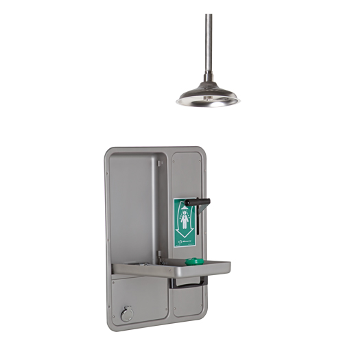 Eye/Face Wash and Shower, Ceiling-Mount Kelford
